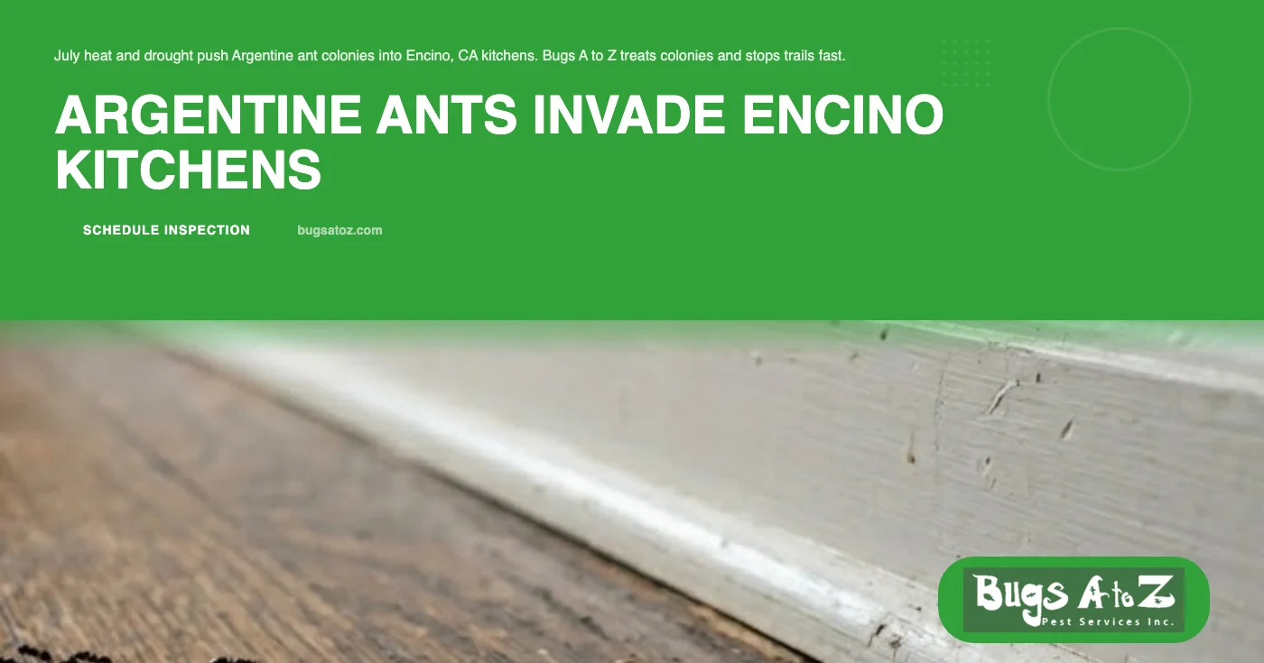 Argentine Ant Invasions in Encino, CA: Why July Heat and Drought Push Colonies Into Kitchens