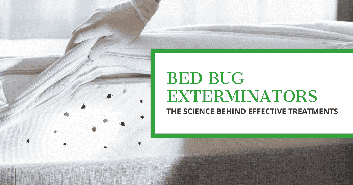 Bed Bug Exterminators: Science of Effective Treatments