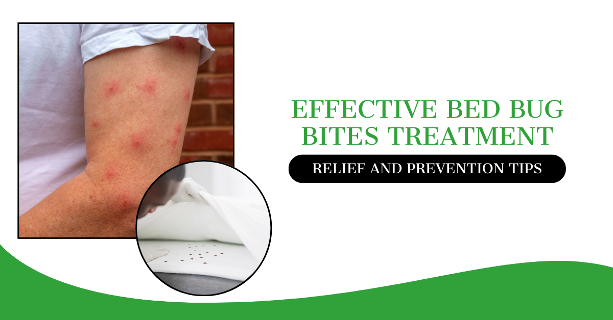 Effective Methods to Remove Crickets from Your Home