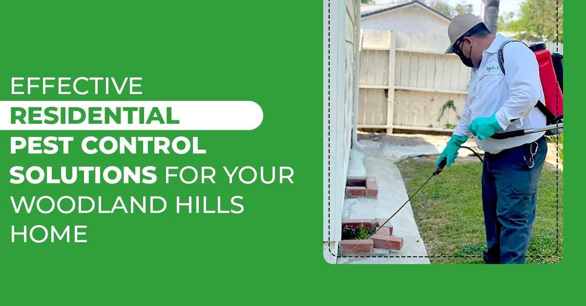 Best Home Pest Solutions in Woodland Hills – Professional Services
