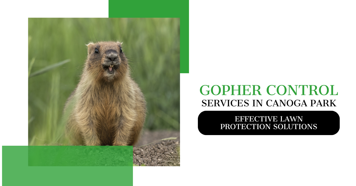 Gopher Control Service in Canoga Park | Lawn Protection Tips