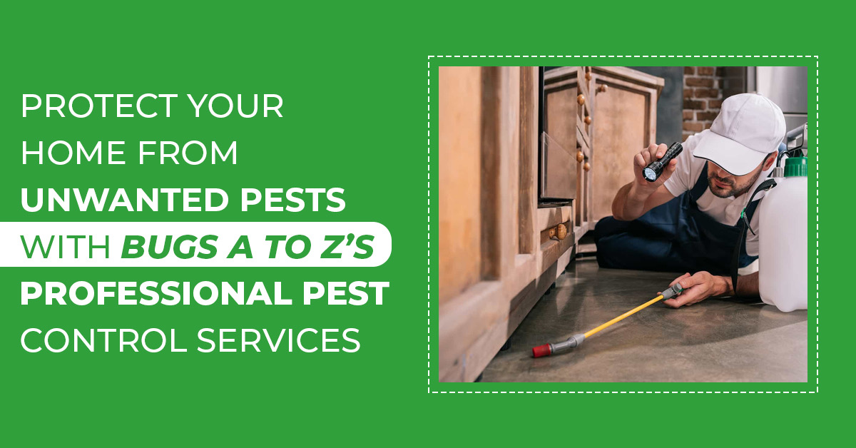 Protect Your Home with Bug A to Z’s Pest Control Services