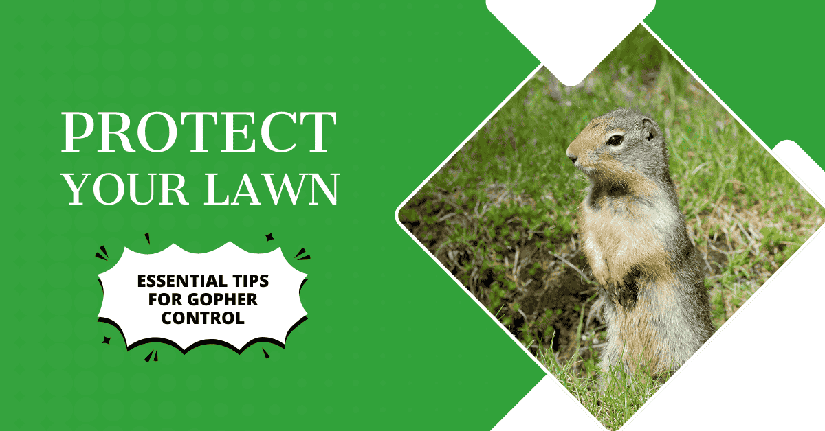 Protect Your Lawn: Essential Tips for Gopher Control