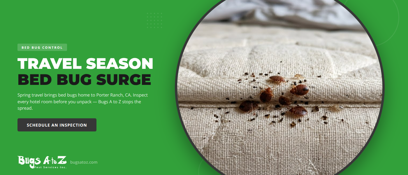 Spring Travel Bed Bugs in Porter Ranch, CA | Bugs A to Z