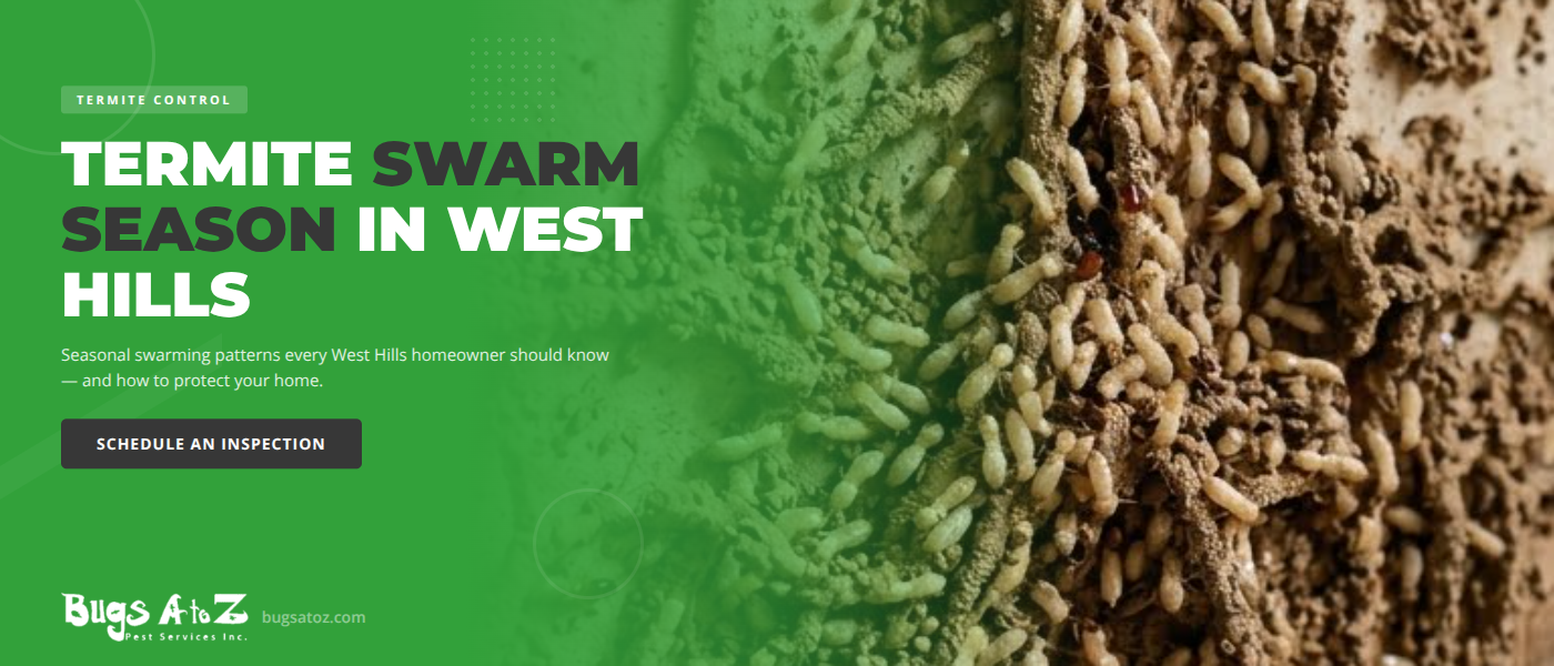 Termite Swarming in West Hills, CA - Seasonal Patterns