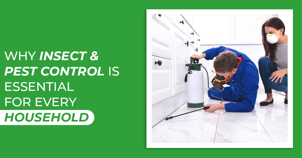Protect Your Home with Professional Insect & Pest Control Services