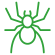 Spider control services featuring a spider illustration.