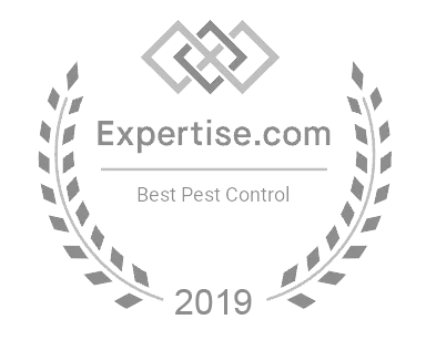 Expertise