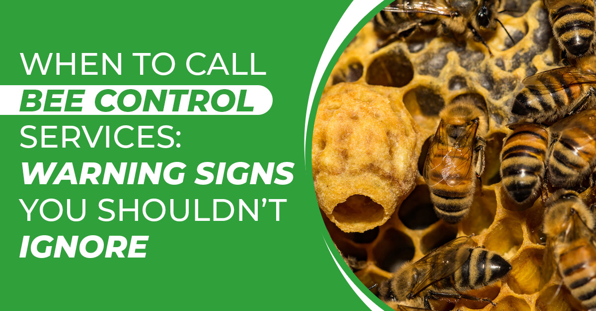 When to Call Bee Control Services: Warning Signs You Can't Ignore